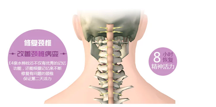 佳爽E4記憶枕改善頸椎保護健康枕頭護頸親水棉枕芯專用成人枕